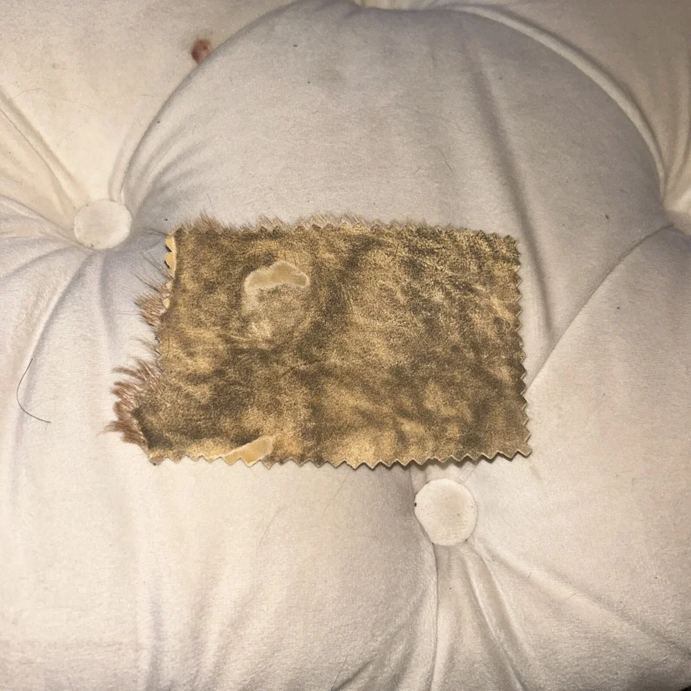 Deer Fur & Hide Patch Vintage Antique Animal Skin 40s ? Cutout